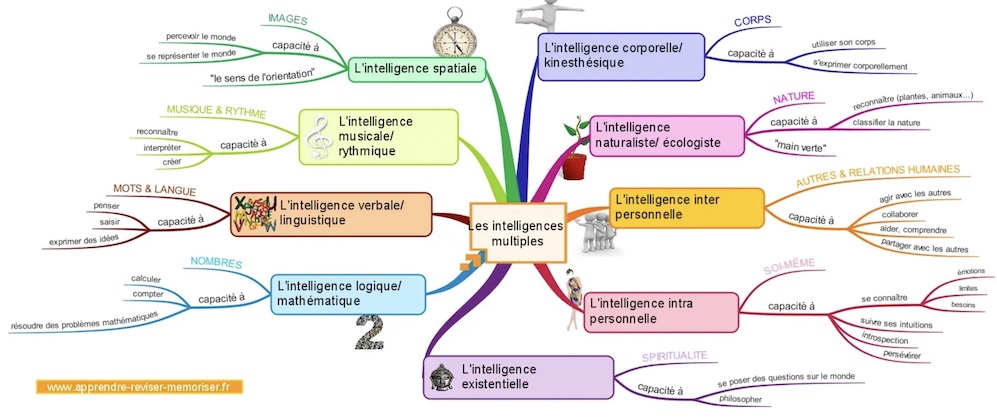 les intelligences multiples selon Gardner